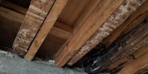 Timber repairs and joists strengthening